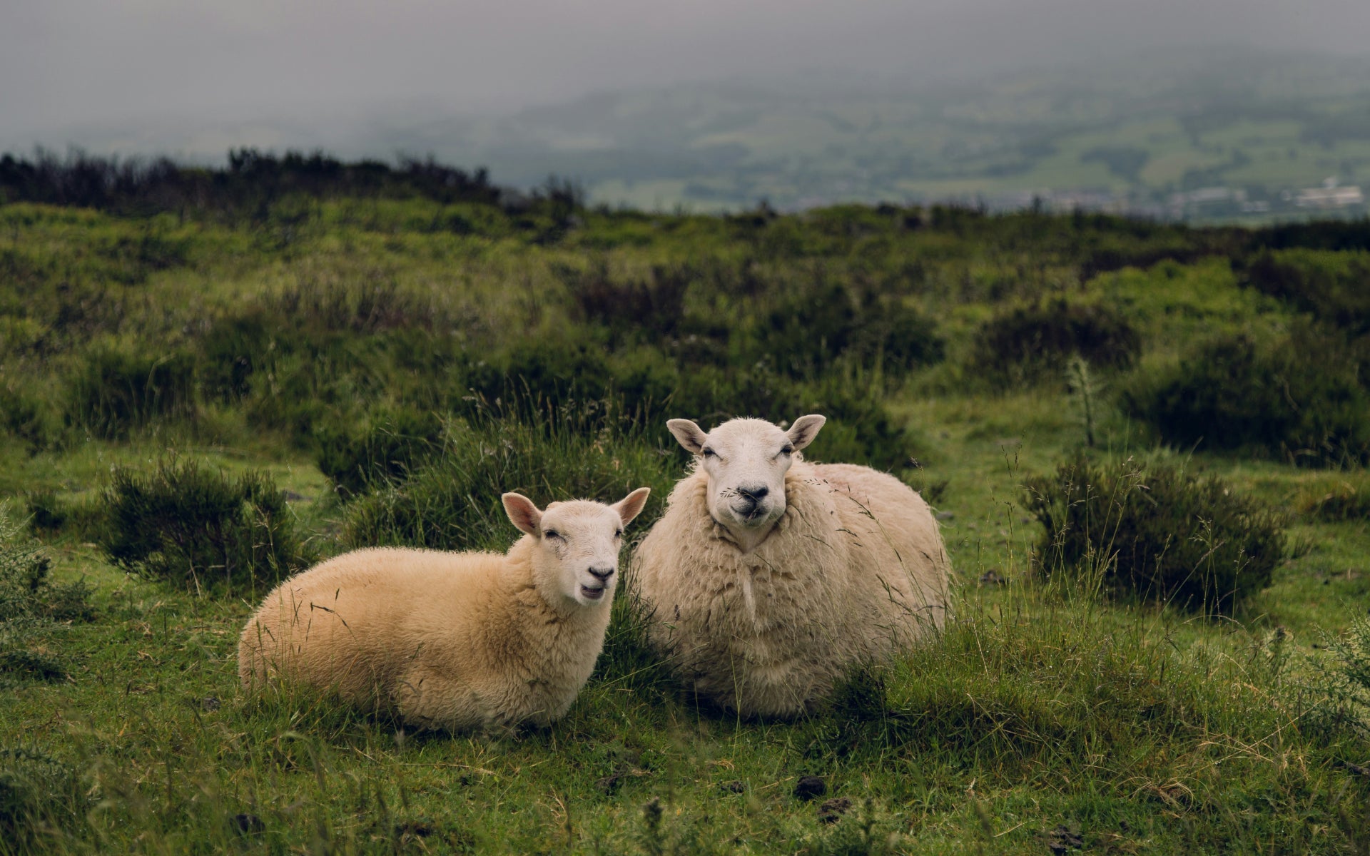 Sustainable progress